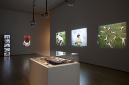 Installation photo, 90 of 134