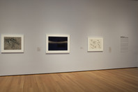Lee Bontecou: All Freedom in Every Sense. Apr 16–Sep 6, 2010. 2 other works identified