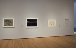 Installation photo, 2 of 11