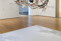 Lee Bontecou: All Freedom in Every Sense. Apr 16–Sep 6, 2010.