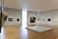 Lee Bontecou: All Freedom in Every Sense. Apr 16–Sep 6, 2010. 7 other works identified
