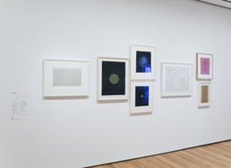 Mind and Matter: Alternative Abstractions, 1940s to Now. May 5–Aug 16, 2010. 6 other works identified