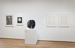 Mind and Matter: Alternative Abstractions, 1940s to Now. May 5–Aug 16, 2010. 1 other work identified