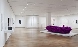 Installation photo, 15 of 19