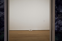 Installation photo, 2 of 48