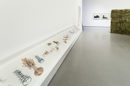 Installation photo, 43 of 69