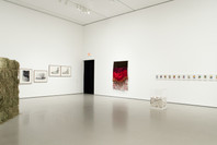 Contemporary Art from the Collection. Jun 30, 2010–Sep 19, 2011. 5 other works identified