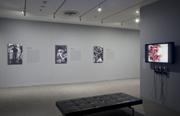 Installation photo, 10 of 13