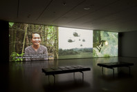 Projects 93: Dinh Q. Lê. Jun 30, 2010–Jan 24, 2011.