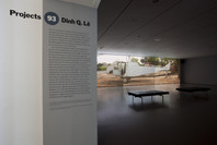 Projects 93: Dinh Q. Lê. Jun 30, 2010–Jan 24, 2011.