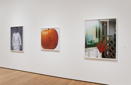 Installation photo, 8 of 16