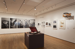 Installation photo, 55 of 62