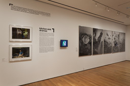 Installation photo, 52 of 62