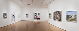 Installation photo, 13 of 16