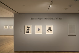 Between Representation and Abstraction. Oct 19, 2005–Jan 9, 2006. 2 other works identified