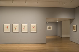 Installation photo, 3 of 13