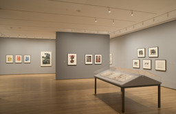 Installation photo, 6 of 13