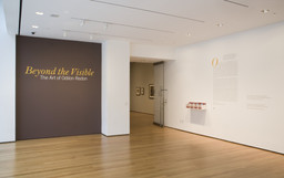 Beyond the Visible 　Art of Odilon Redon Beyond the Visible: The Art of Odilon Redon | MoMA