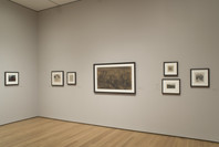 Beyond the Visible: The Art of Odilon Redon. Oct 30, 2005–Jan 23, 2006. 3 other works identified