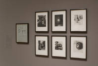 Beyond the Visible: The Art of Odilon Redon. Oct 30, 2005–Jan 23, 2006. 6 other works identified