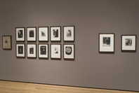 Beyond the Visible: The Art of Odilon Redon. Oct 30, 2005–Jan 23, 2006. 12 other works identified