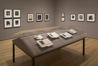 Beyond the Visible: The Art of Odilon Redon. Oct 30, 2005–Jan 23, 2006. 9 other works identified
