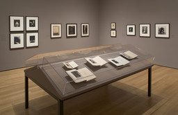 Installation photo, 18 of 28