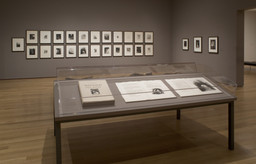 Installation photo, 20 of 28