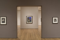 Beyond the Visible: The Art of Odilon Redon. Oct 30, 2005–Jan 23, 2006. 2 other works identified