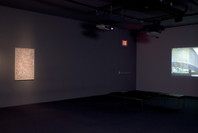 Stillness: Michael Snow/Sam Taylor-Wood. Oct 5–Nov 28, 2005. 1 other work identified