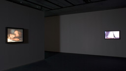 Installation photo, 3 of 19