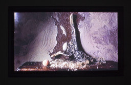 Installation photo, 7 of 19
