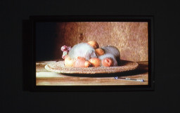 Installation photo, 9 of 19