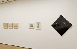 Installation photo, 7 of 7