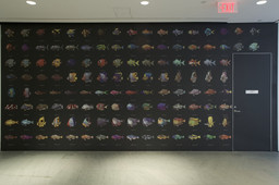 Installation photo, 11 of 76