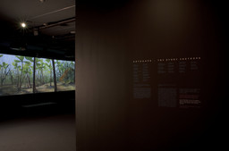 Installation photo, 23 of 76