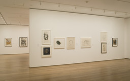Installation photo, 5 of 19