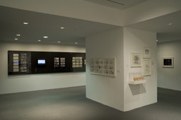 Installation photo, 47 of 76