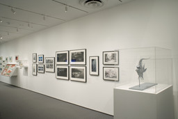 Installation photo, 50 of 76
