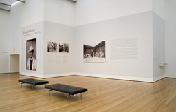 Installation photo, 2 of 74