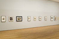 Edvard Munch: The Modern Life of the Soul. Feb 19–May 8, 2006.