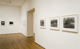 Installation photo, 11 of 17