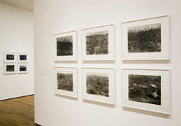 Installation photo, 13 of 17