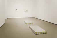 Against the Grain: Contemporary Art from the Edward R. Broida Collection. May 3–Jul 10, 2006. 1 other work identified