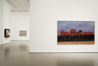 Against the Grain: Contemporary Art from the Edward R. Broida Collection. May 3–Jul 10, 2006. 1 other work identified