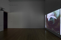 Installation photo, 10 of 37