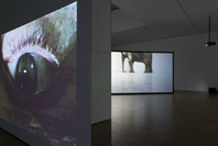 Douglas Gordon: Timeline. Jun 11–Sep 4, 2006.