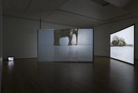 Douglas Gordon: Timeline. Jun 11–Sep 4, 2006.