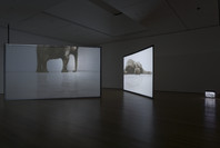 Douglas Gordon: Timeline. Jun 11–Sep 4, 2006.
