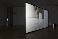 Douglas Gordon: Timeline. Jun 11–Sep 4, 2006.